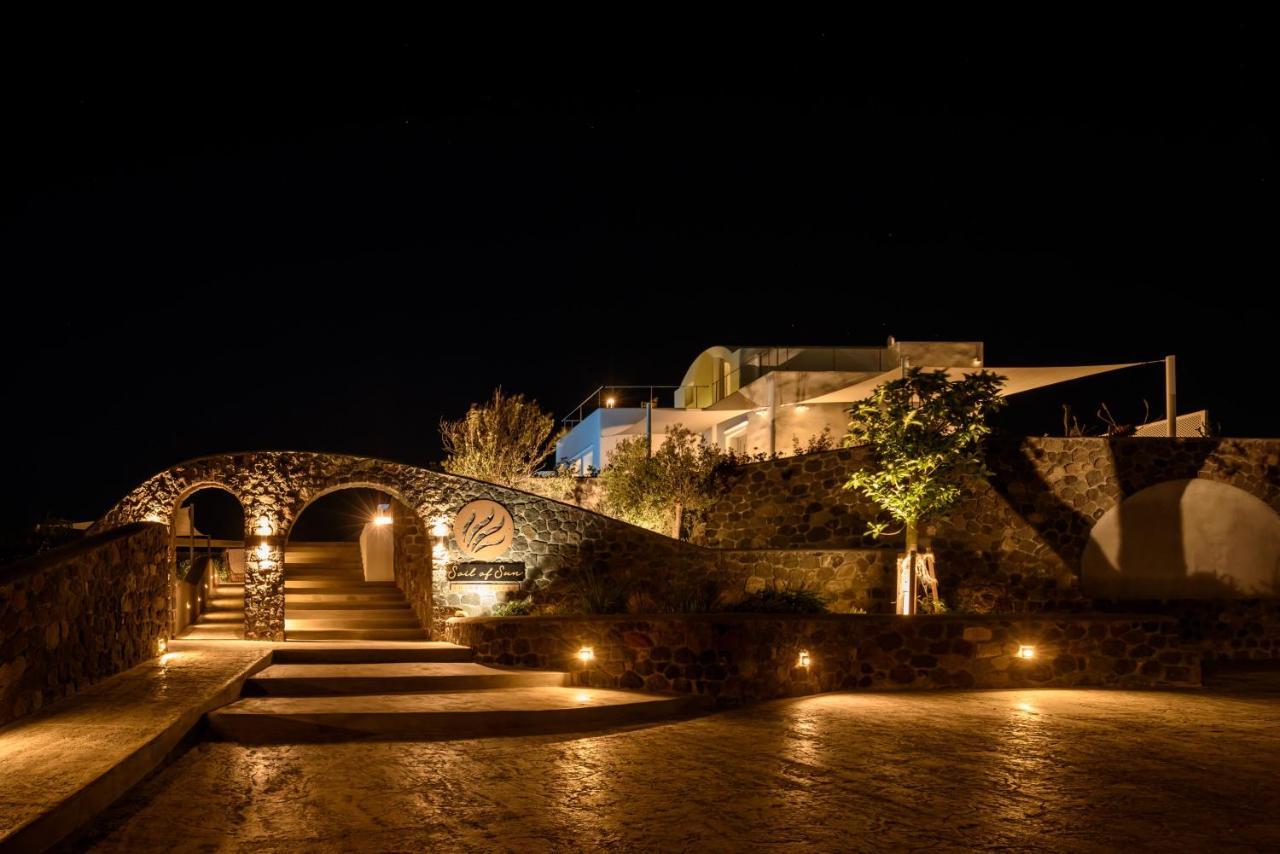 Soil Of Sun Luxury Villas Megalochori  Dış mekan fotoğraf